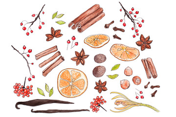 Illustration of dried orange slices, star anise, cinnamon, vanilla, nuts and berries. Edible spices painted in watercolor