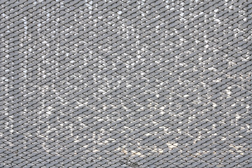 Rabitz covered in the snow. Background, texture