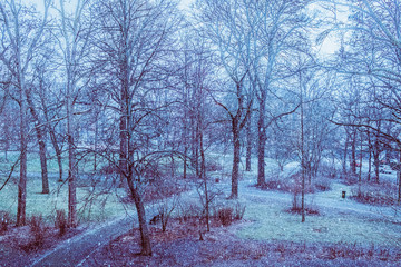 Park im Winter bei Schnee und Kälte