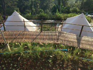 Canvas bell tent isolated . A glamping tent surrounded by forest 