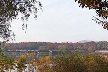 인천대공원입니다