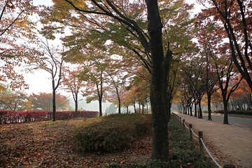 Naklejka premium 인천대공원입니다