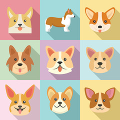 Corgi dogs icons set. Flat set of corgi dogs vector icons for web design