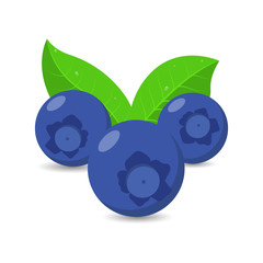 Blueberries fruit illustration Fresh Fruit Vector