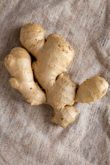 Raw Organic Ginger Root on cloth, overhead view. Flat lay, from above, top view.