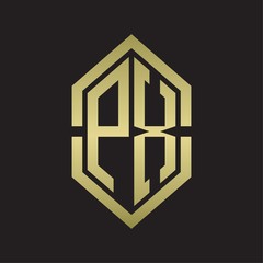PX Logo monogram with hexagon shape and outline slice style with gold colors