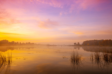 Fototapeta na wymiar Magic sunrise over the lake. Misty early morning, rural landscape, wilderness, mystical feeling. Serenity lake in magical light