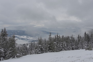 winter views in the Low Tatras near Pohorela in Slovakia