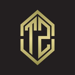 TZ Logo monogram with hexagon shape and outline slice style with gold colors