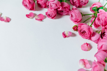 Pink roses lying on a white background. The background is filled with randomly scattered pink petals. Copy space