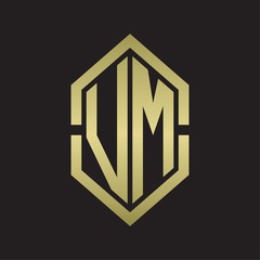 VM Logo monogram with hexagon shape and outline slice style with gold colors