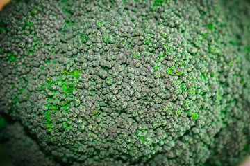 Close up of raw broccoli