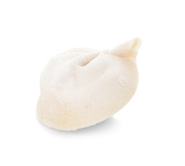 Raw fresh dumpling on white background