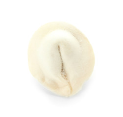 Raw fresh dumpling on white background
