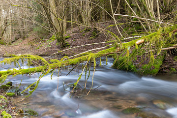 Bachlauf im Sauerland
