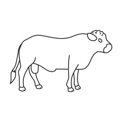 Bull vector icon.Outline vector icon isolated on white background bull.