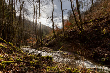 Bachlauf im Sauerland