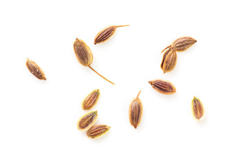 Dill seeds isolated on a white background