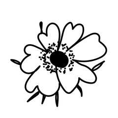 Vector single Anemone. Botanical illustration doodle black line art on a white isolated background.Design for social media,web,cards,textiles, wrapping paper,packaging,prints,coloring.