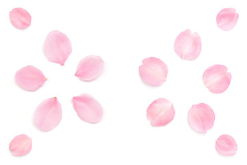 桜 花びら ピンク 春 白背景