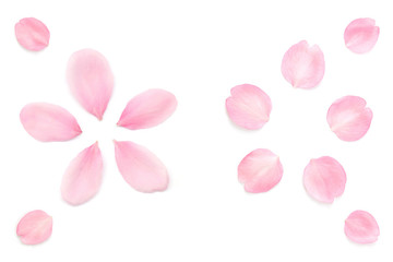 桜 花びら ピンク 春 白背景 Wall Mural Wallpaper Murals Naoki Kim 桜 花びら ピンク 春 白背景 Wall Mural Wallpaper Murals Naoki Kim