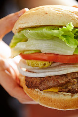 burger with french fries