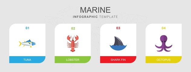 Fototapeta na wymiar 4 marine flat icons set isolated on infographic template. Icons set with tuna, lobster, shark fin, octopus icons.