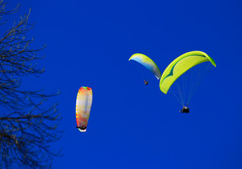 Vol en parapente seul et en duo sous un ciel bleu
