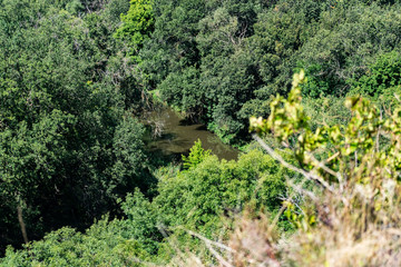 Obraz premium Spacious green landscape, relief land with many different vegetation. Grass, shrubs and trees in summer on a Sunny day, rich color and blue sky.
