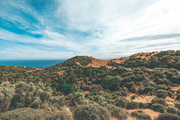 Landscape of Makara Beach in Wellington, New Zealand 