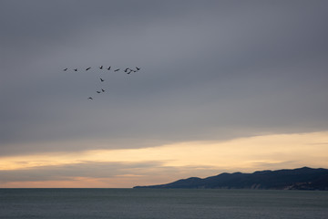 Beautiful sunset at the sea. Spring.