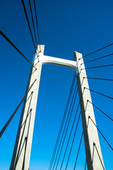 Obraz premium 木場公園 橋2