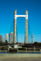 Fototapeta premium 木場公園 広場から1