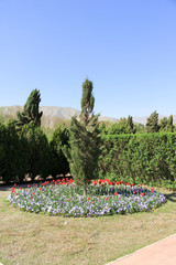 باغ گل در ایران Flower Garden in iran