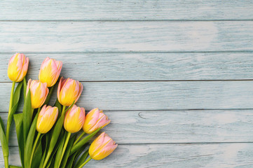 Spring background. Colorful blooming tulips on a wooden background. Copy space.