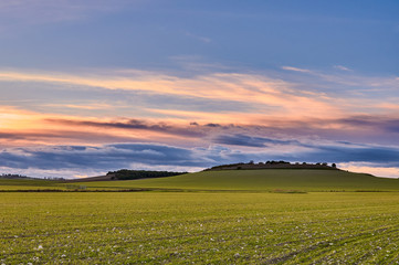 Atardecer en los campos de Castilla