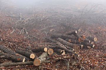 시골풍경입니다