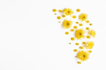 Flowers composition. Yellow chrysanthemum flowers on white background. Flat lay, top view - obrazy, fototapety, plakaty