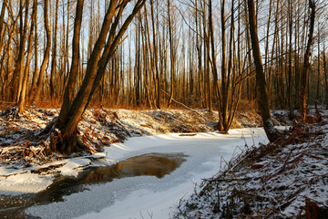 forest river in ice in early spring