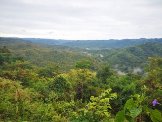 Obraz premium view of mountains