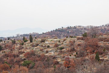 공동묘지입니다