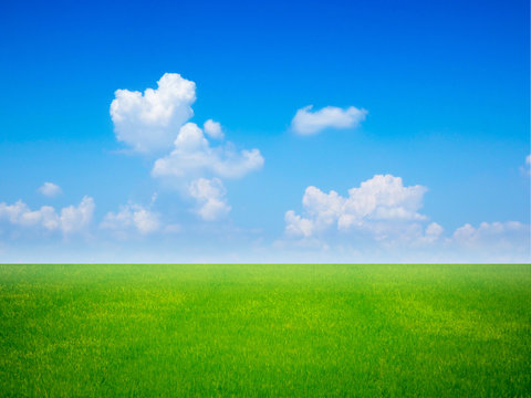 empty green grass field with blue sky and white clouds with shape heart in the gardening and landscape shot photo use for design display product background concept.