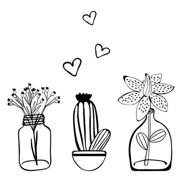 Potted Plants for your design template, icon, gift card