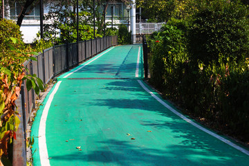 A green painted bicycle lane in a park
