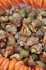 Boiled seashell and shrimp at buffet 