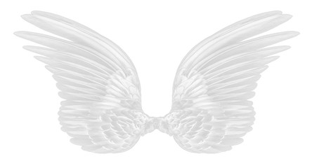 Fototapeta na wymiar white wing of bird on white background