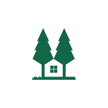 modern pine tree and home  logo design vector