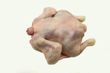 Raw chicken on the white background