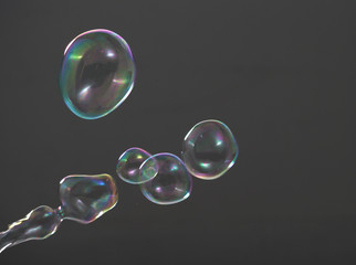Real soap bubbles floating and moving on studio background which made from soapy shampoo and blow by people to represent light wind and refreshing mood
