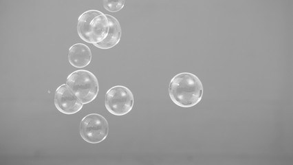 Real soap bubbles floating and moving on studio background which made from soapy shampoo and blow...